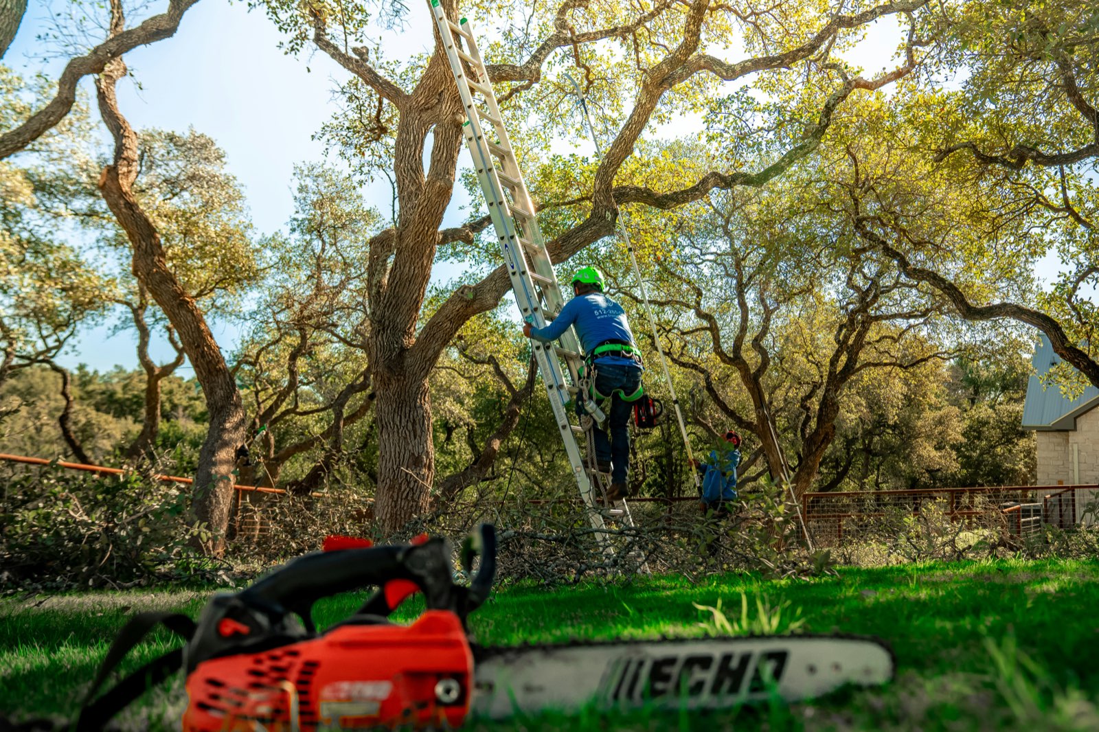 Southwest Tree crew completing a job in the Clever and Springfield area