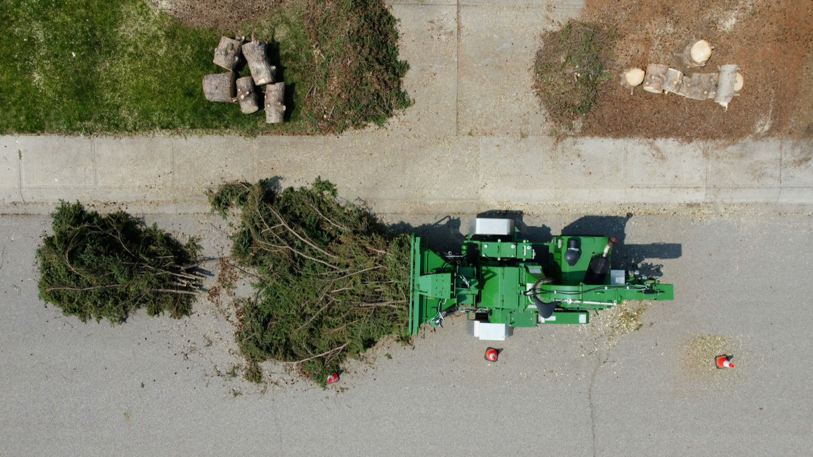 Stump removal services — grinding a tree stump flush with the ground